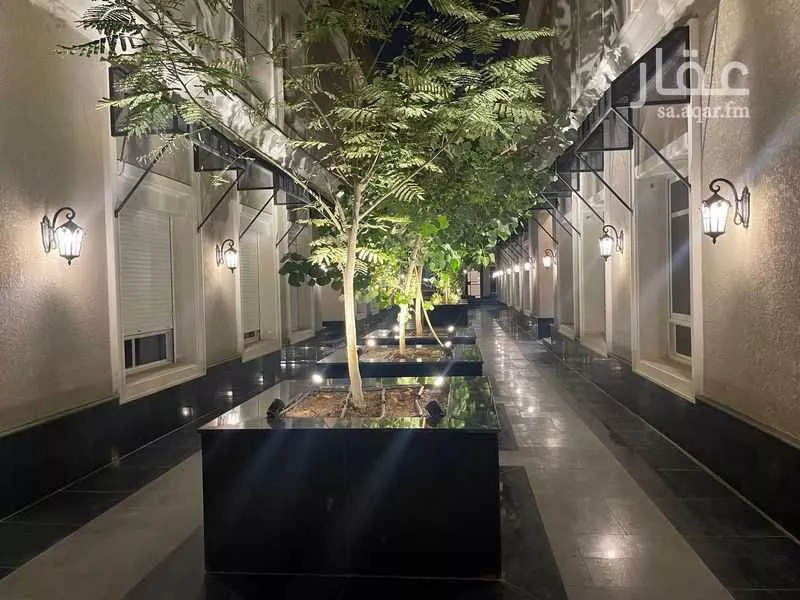 شقة 3 غرف في الحمراء 2