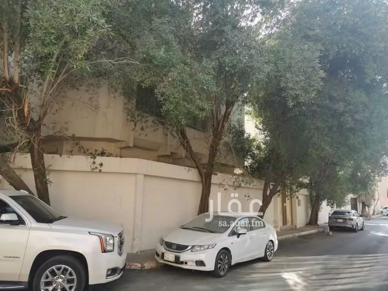 عمارة 1170 م² في العليا 1