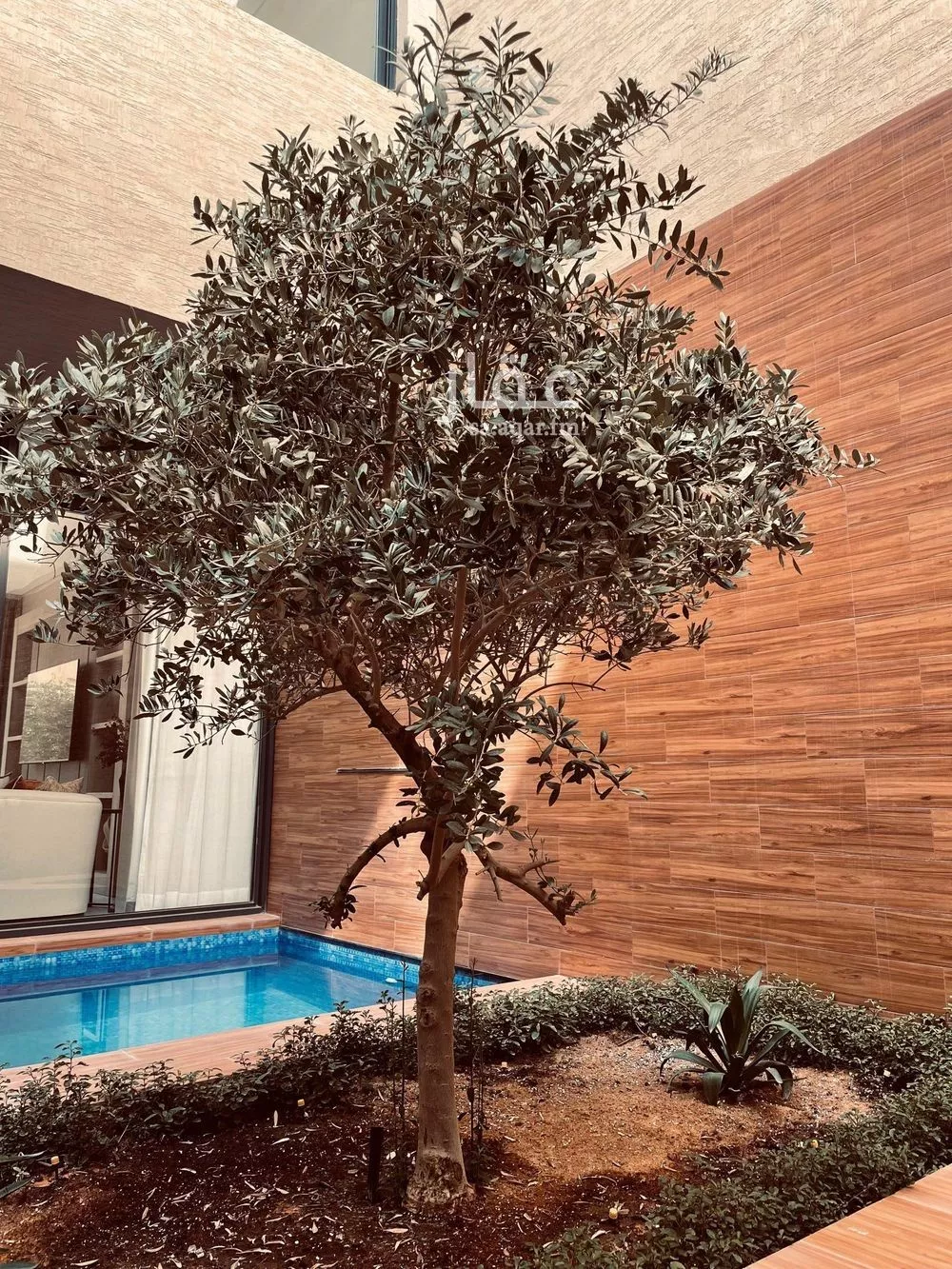 فيلا 4 غرف في الياسمين، الرياض 12