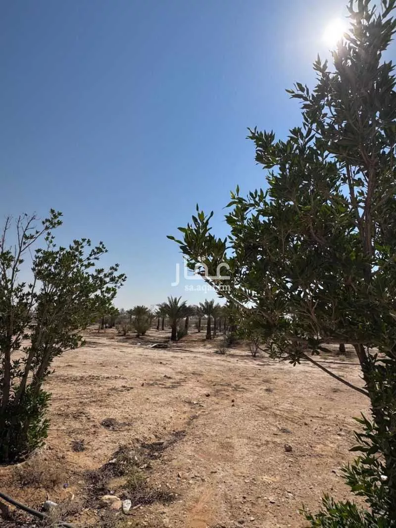 أرض 5000 م² في بنبان 1