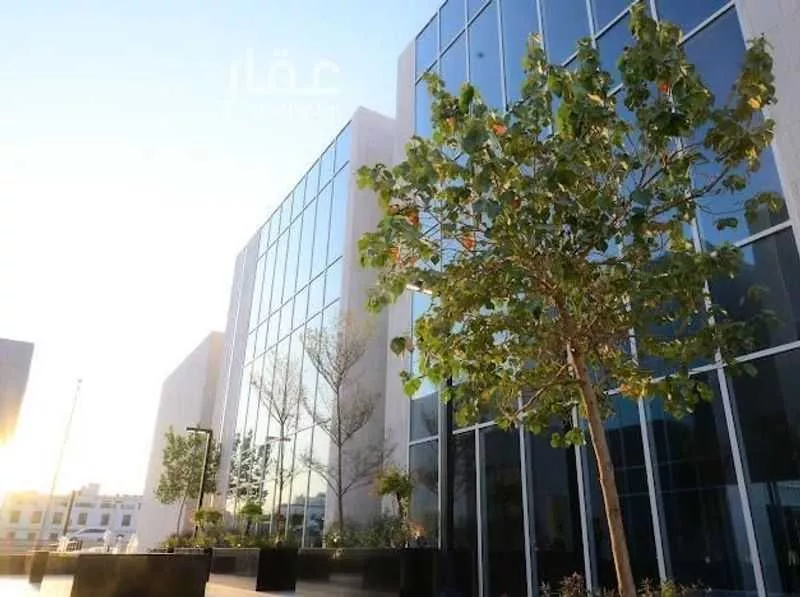 مكتب 203 م² في قرطبة 3