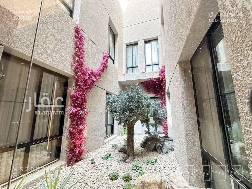 شقة 3 غرف في النرجس 3