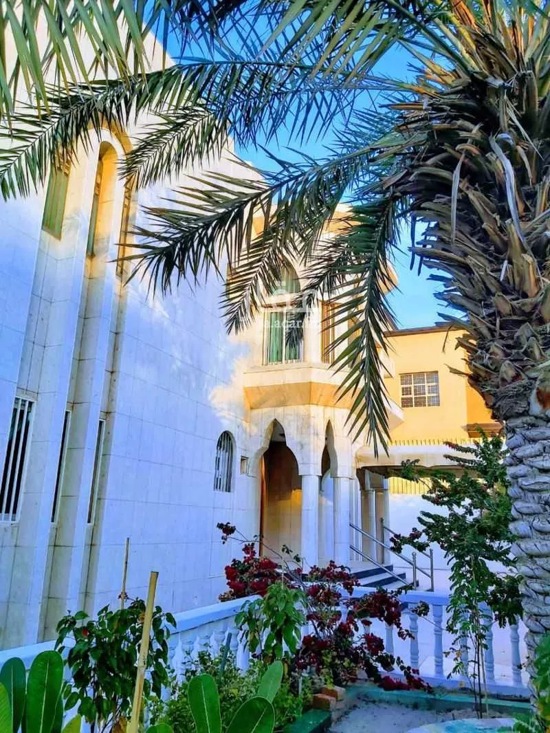 فيلا 10 غرف في الجامعيين 3