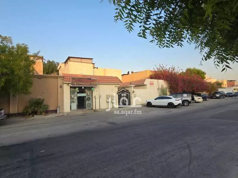 عمارة 500 م² في قرطبة 2