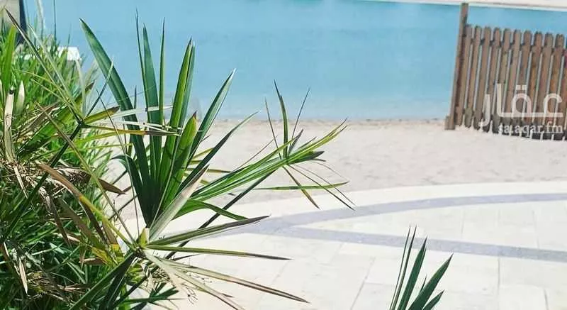 4 bedroom villa in Al Murjan, Eastern Province 13