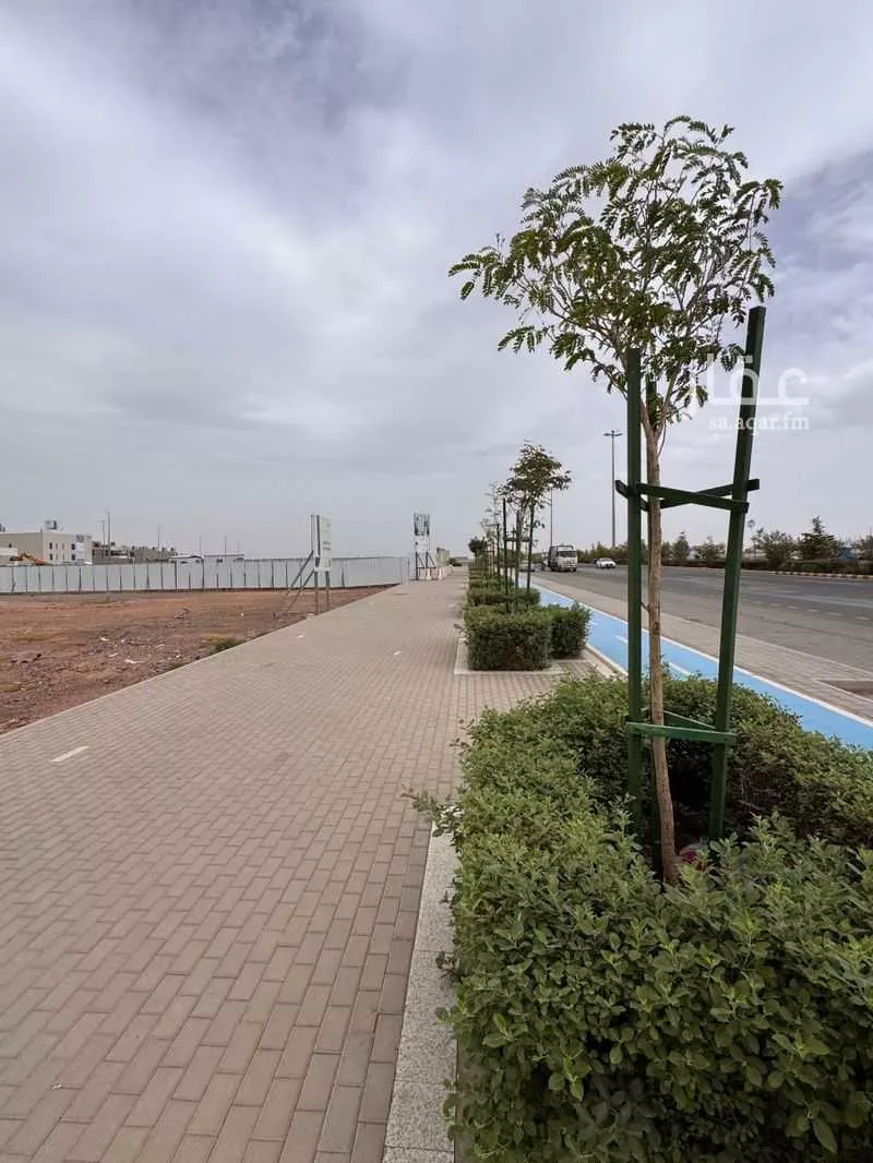 3042 sqm land in Mudhainib 5