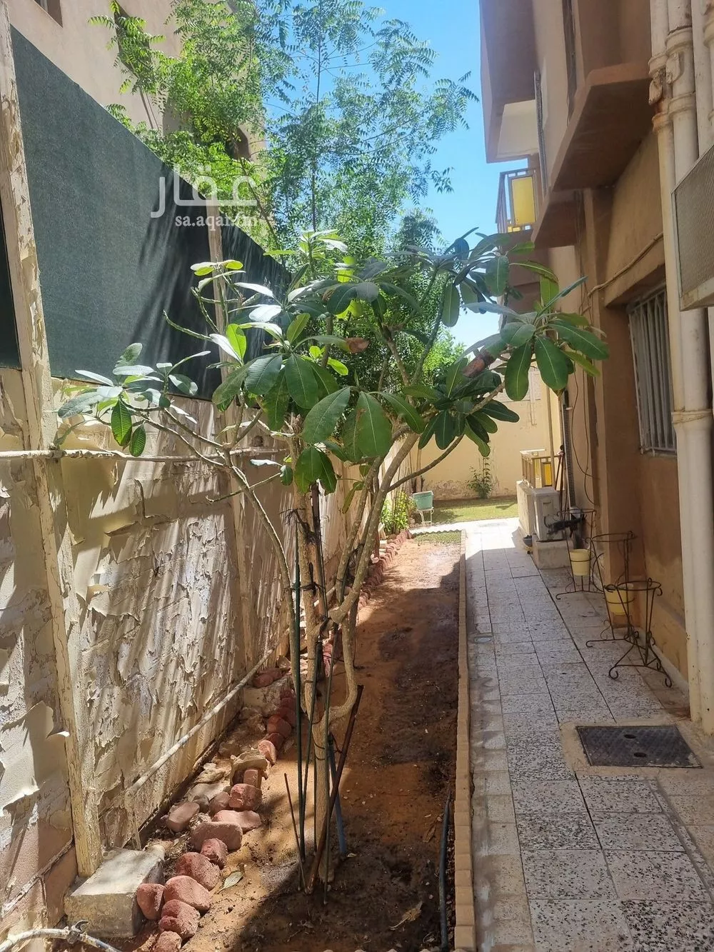 6 bedroom villa in Al Olaya, Riyadh 5