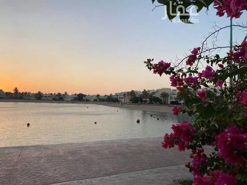 شقة 3 غرف في الزمرد، جدة 11