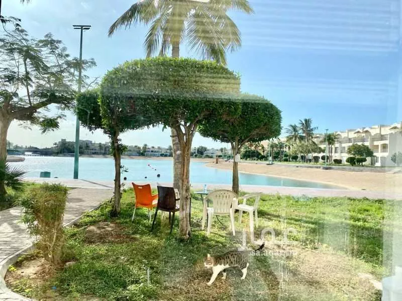 شقة 3 غرف في الزمرد، جدة 10