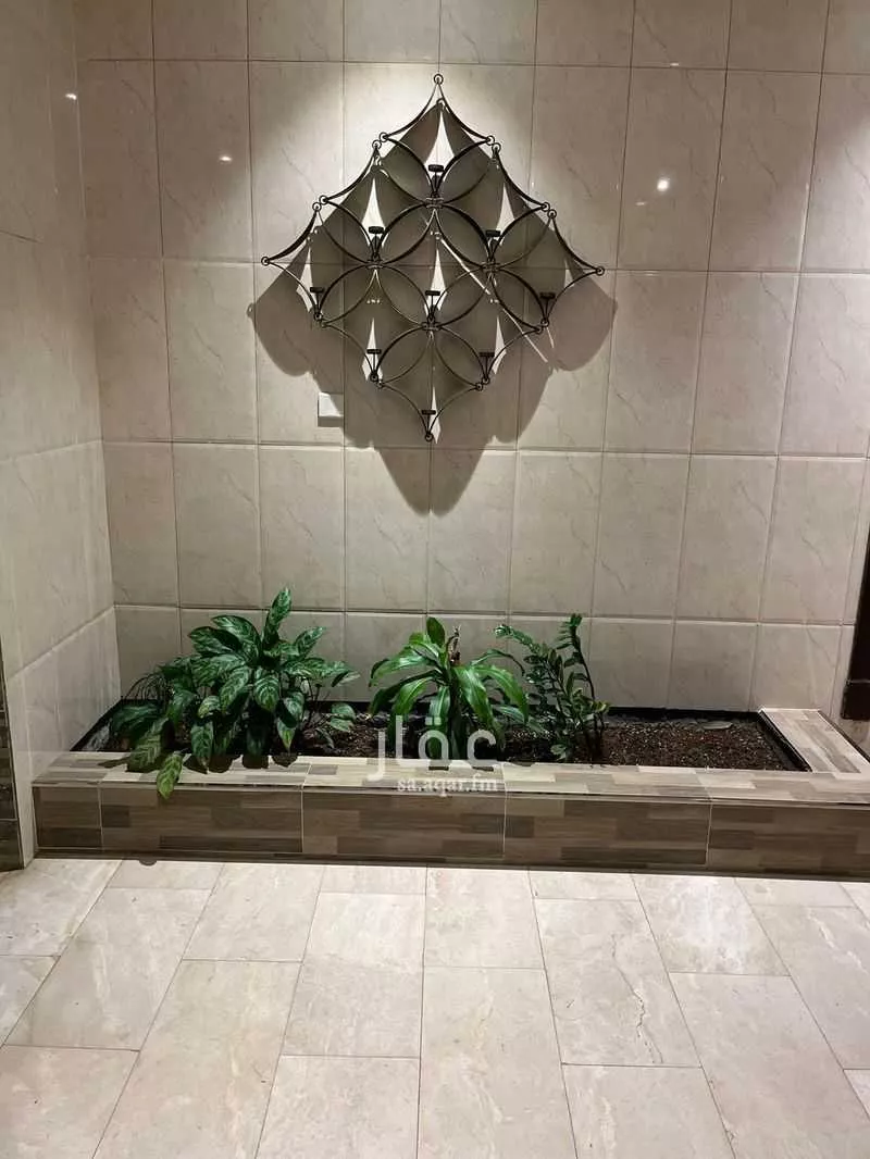 شقة 1 غرف في الحمراء 4