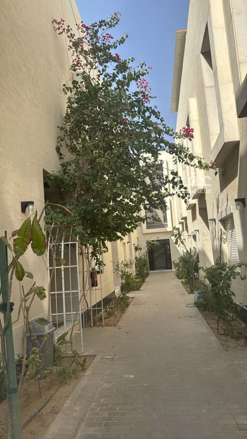 شقة 3 غرف في العارض 1