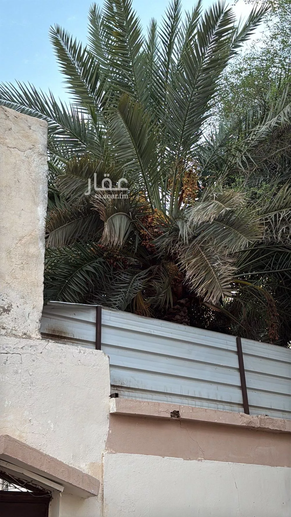 land in Al Aziziyah, Madinah 5