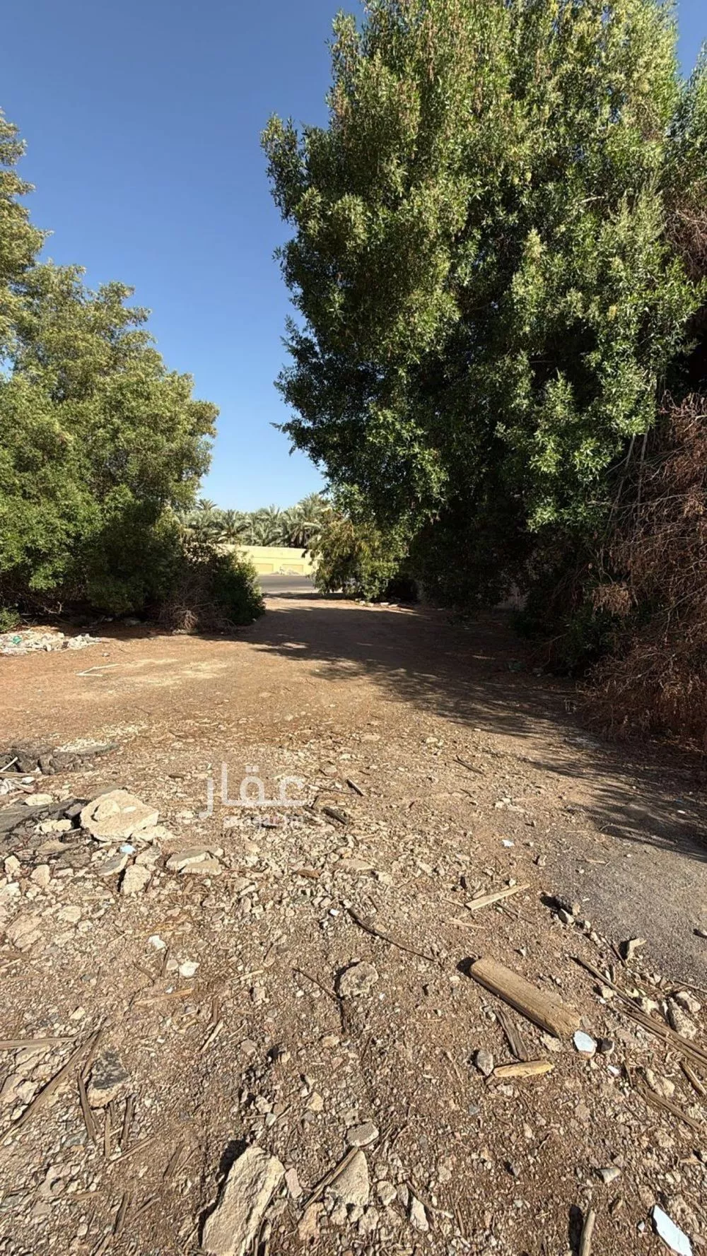 أرض 255 م² في السيح 1