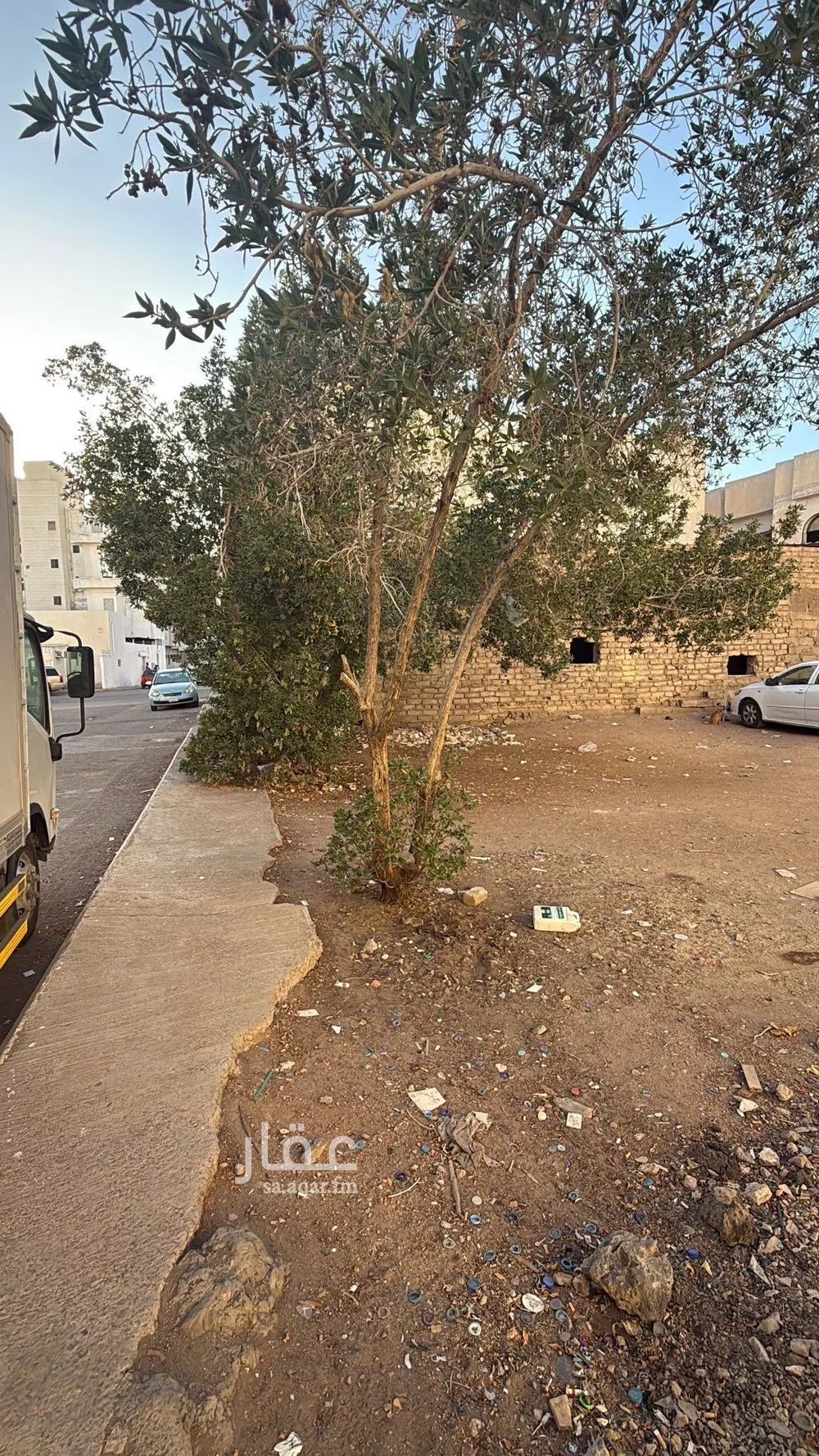 land in Bani Muawiyah, Madinah 6