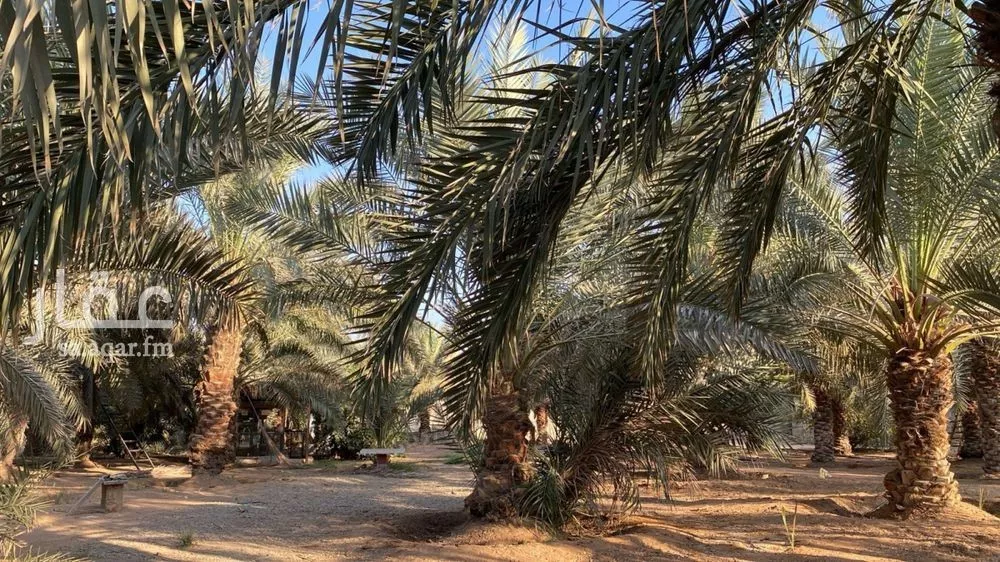 land in Umm Al Shaal, Riyadh 4