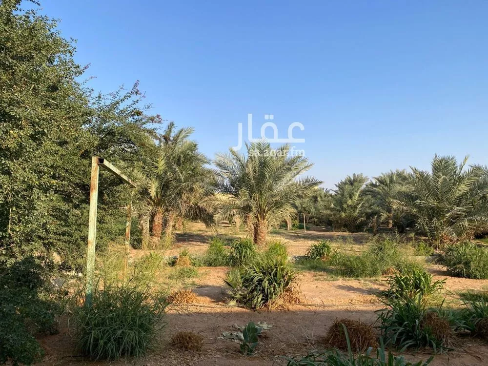 land in Umm Al Shaal, Riyadh 9