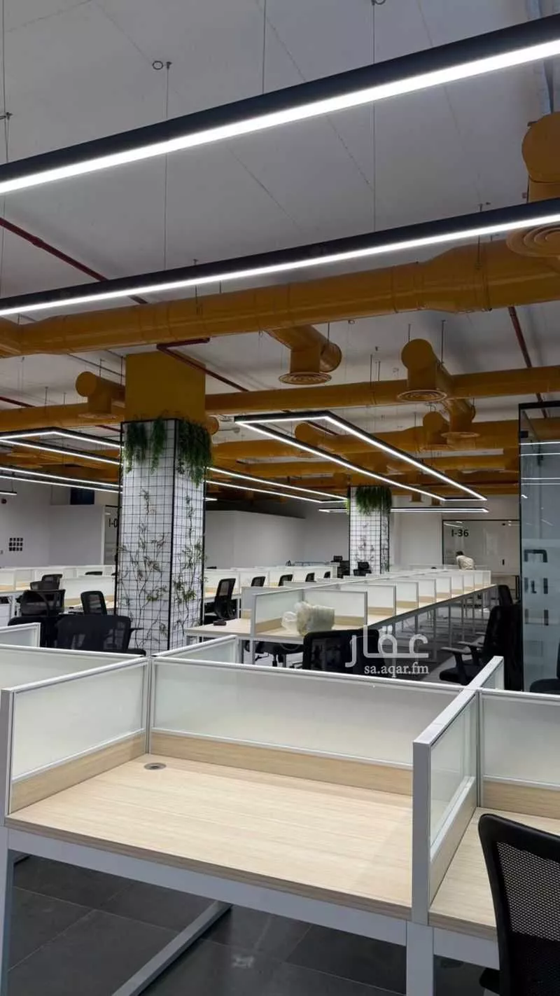 مكتب 5000 م² في الدريهمية 3