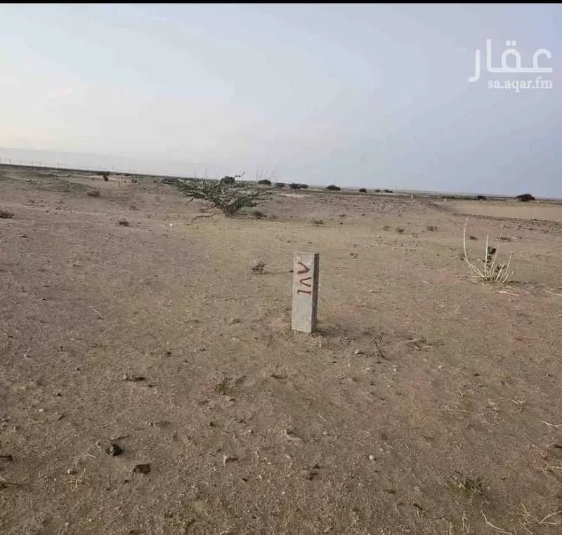 أرض 300 م² في جدة 3