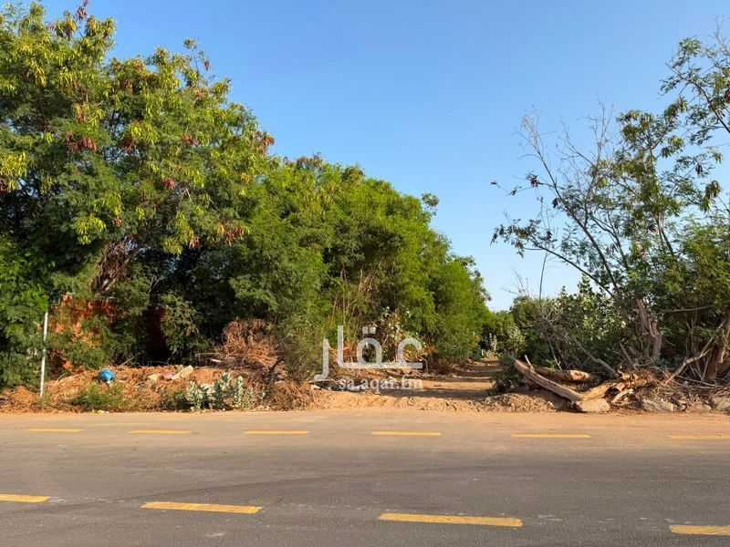 land in Al Amwaj, Jeddah 4