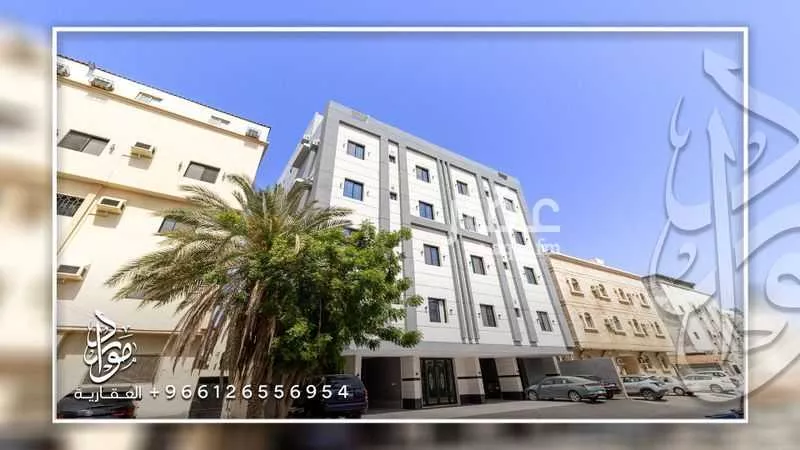 عمارة 525 م² في البوادي 2