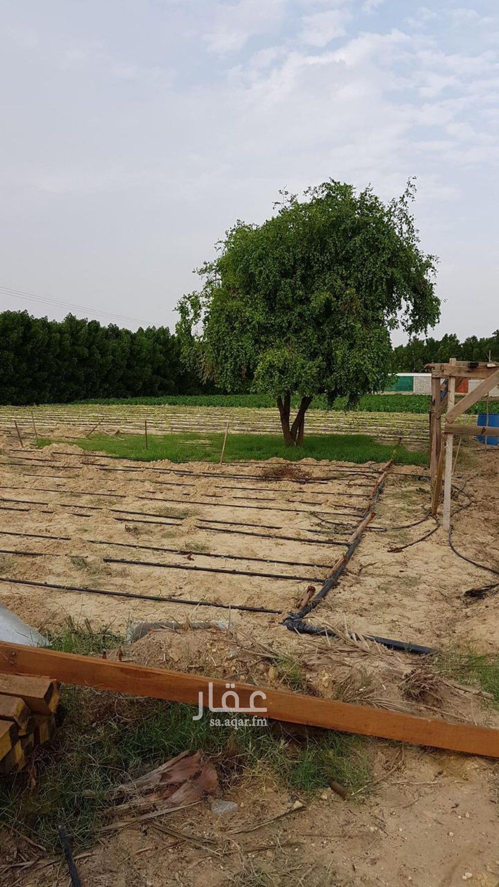 عقار  في مدينة الجبيل الصناعية 6