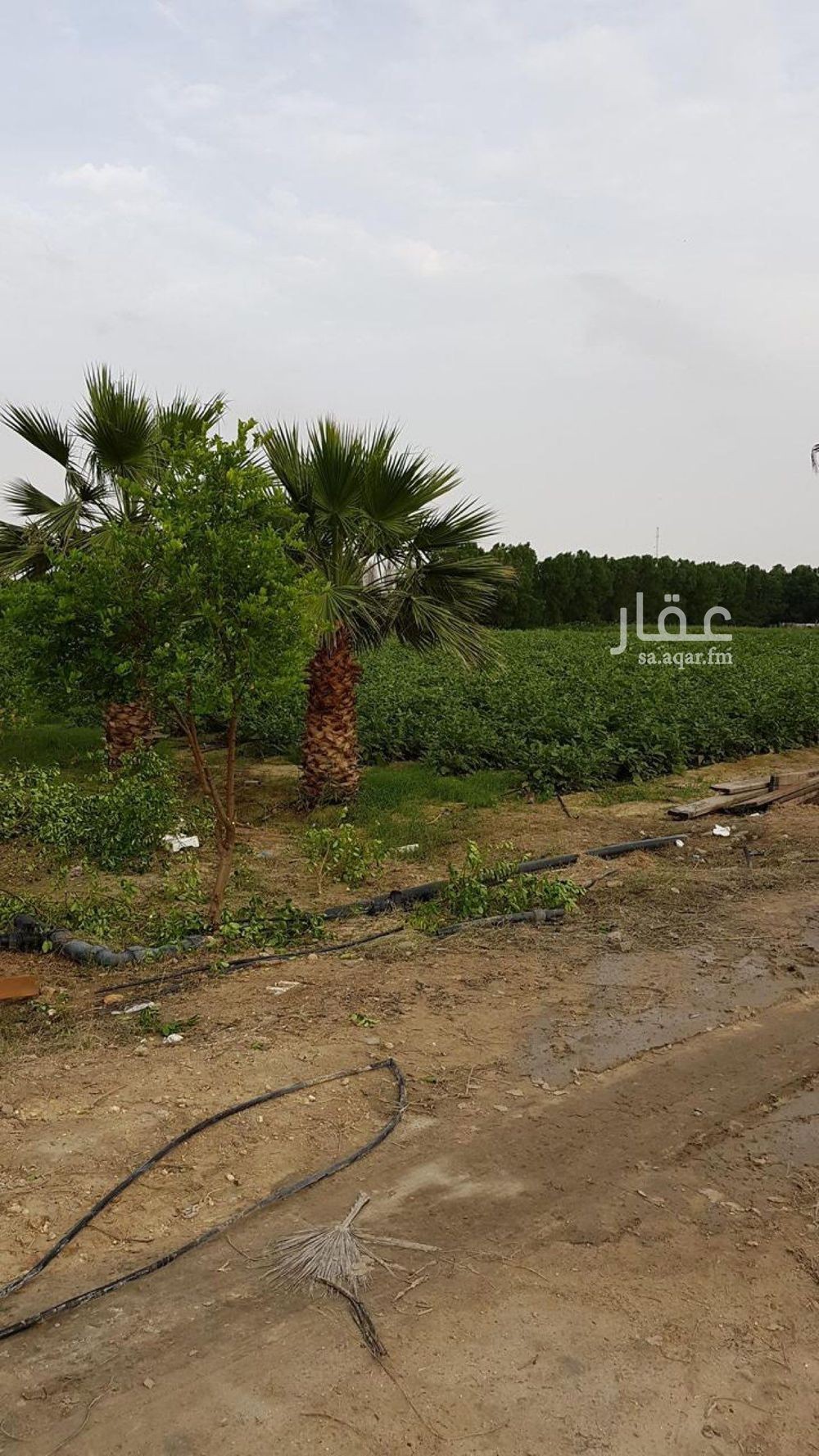 عقار  في مدينة الجبيل الصناعية 5
