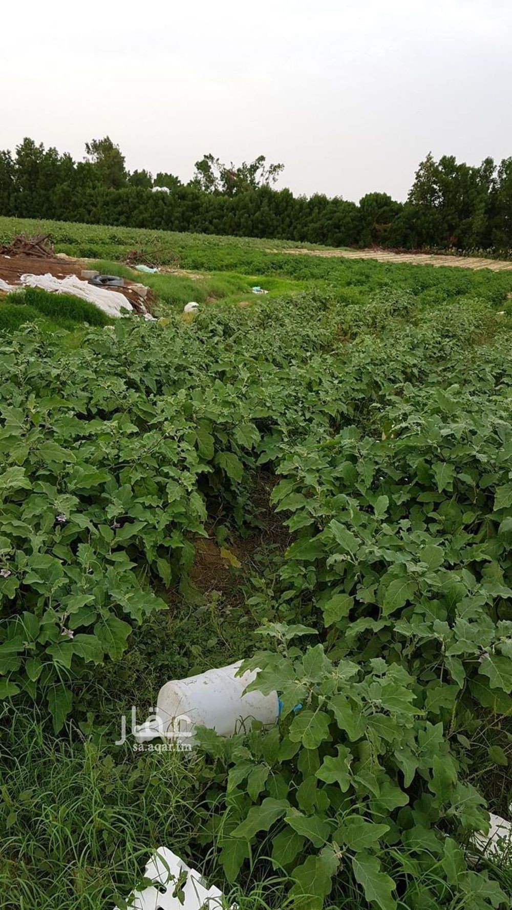عقار  في مدينة الجبيل الصناعية 4