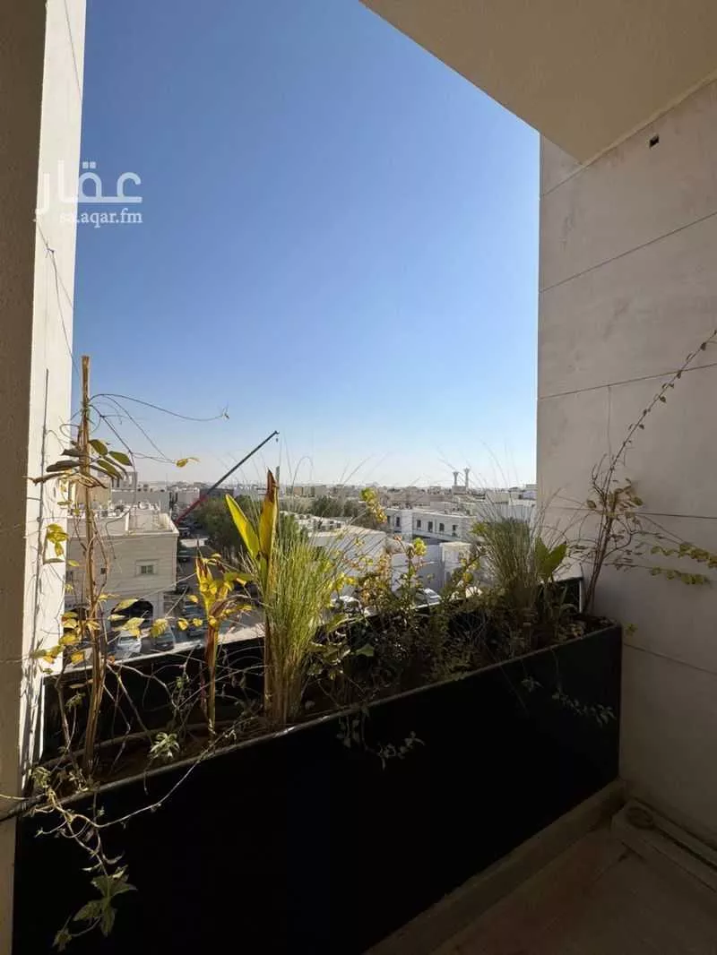 عقار 50 غرف في النرجس، الرياض 6