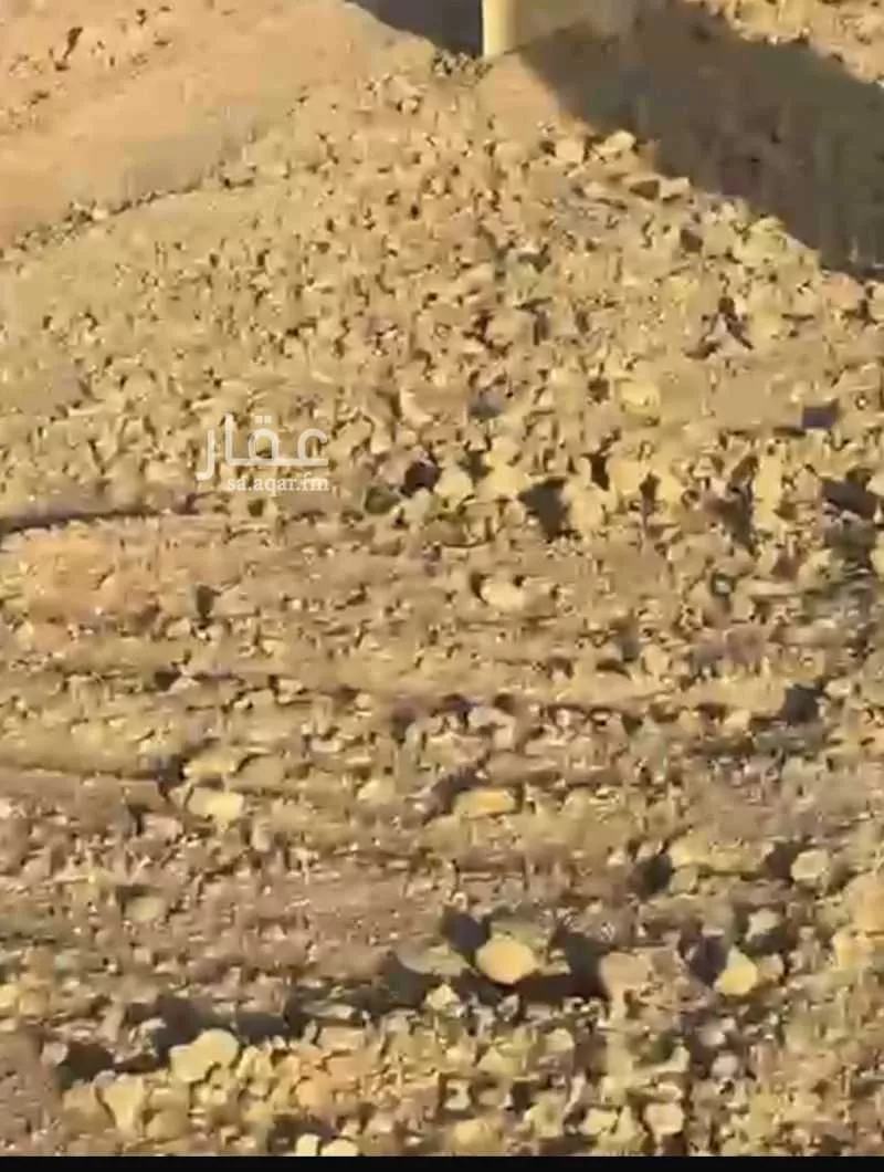 أرض 350 م² في النظيم 2