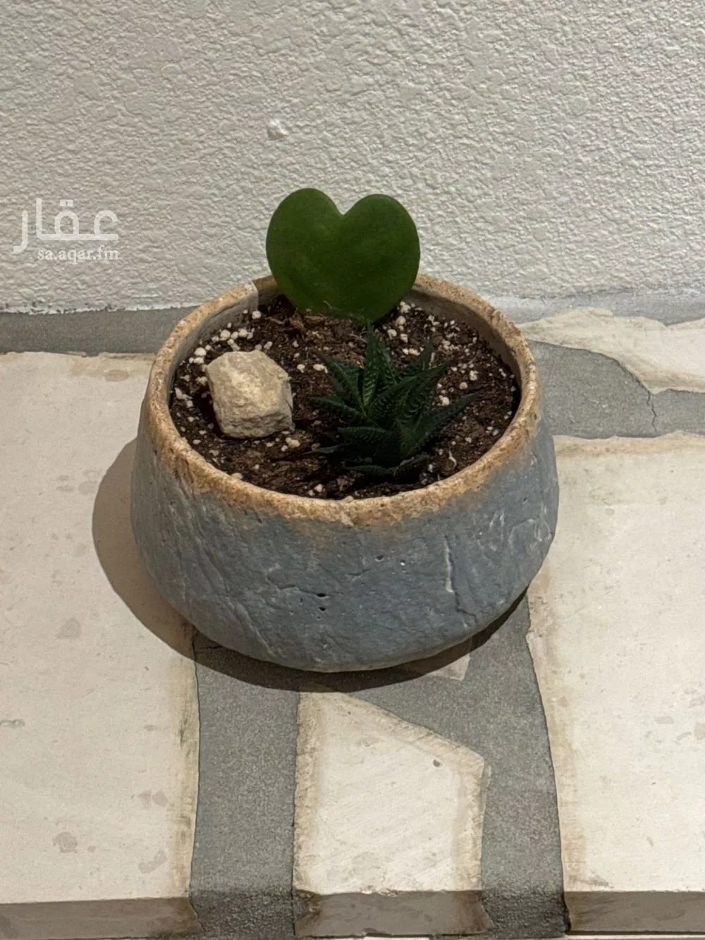 شقة 1 غرف في الملقا 4