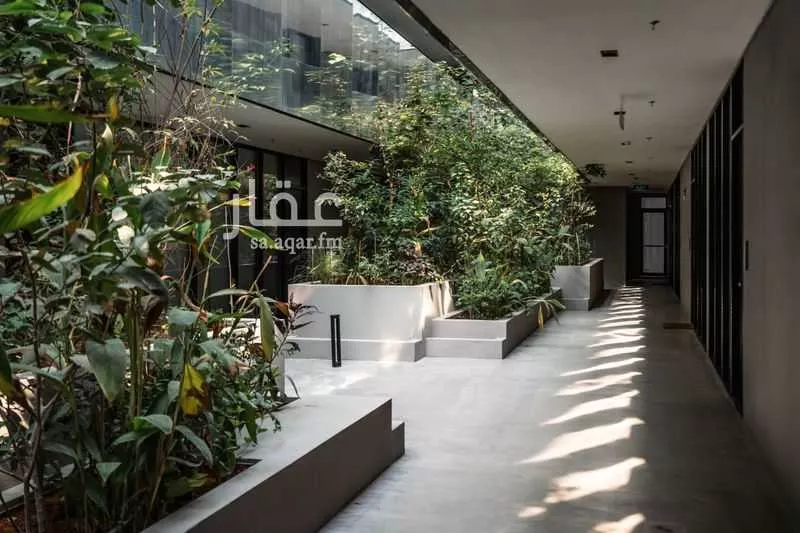 شقة 1 غرف في النخيل 3