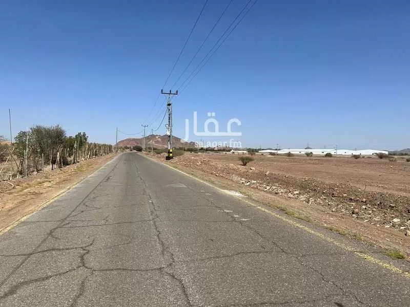 أرض 104054 م² في المطار 4