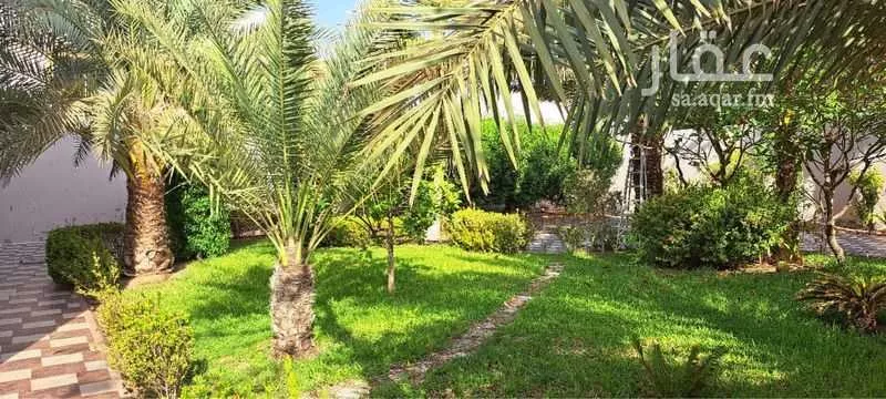 فيلا 4 غرف في الحمراء 2