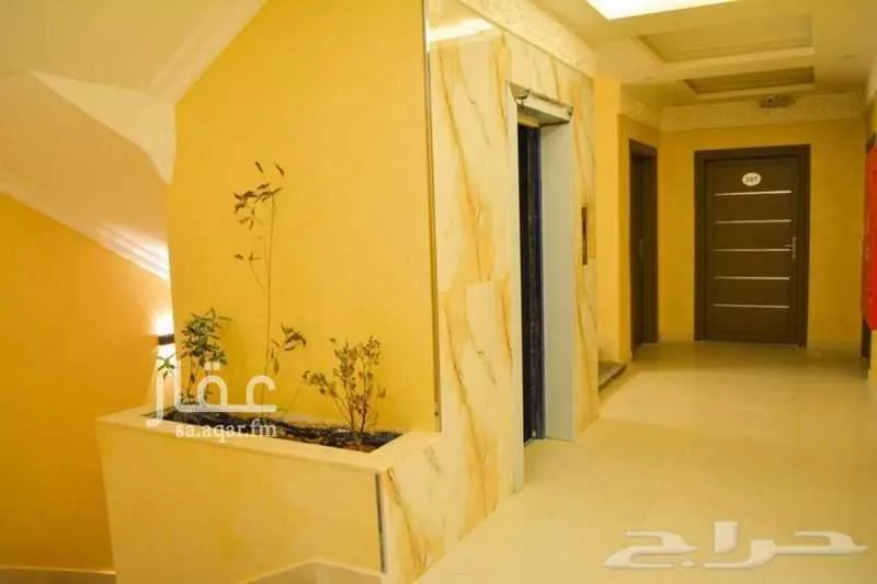 شقة 2 غرف في الحمراء 2