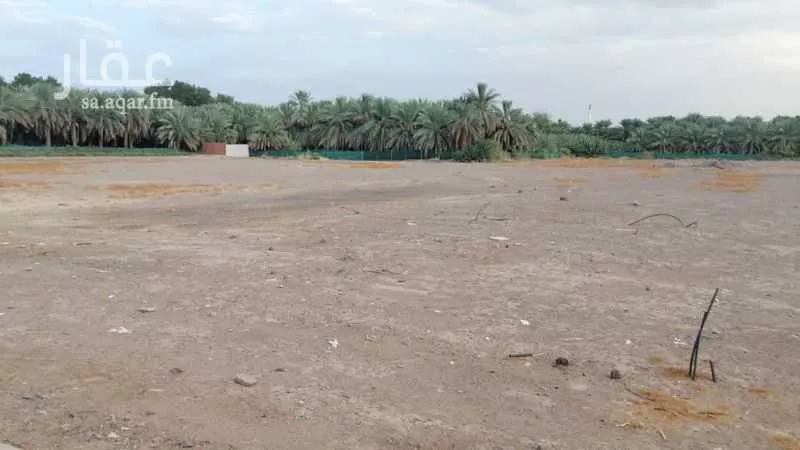 أرض 400 م² في بئر عثمان 2