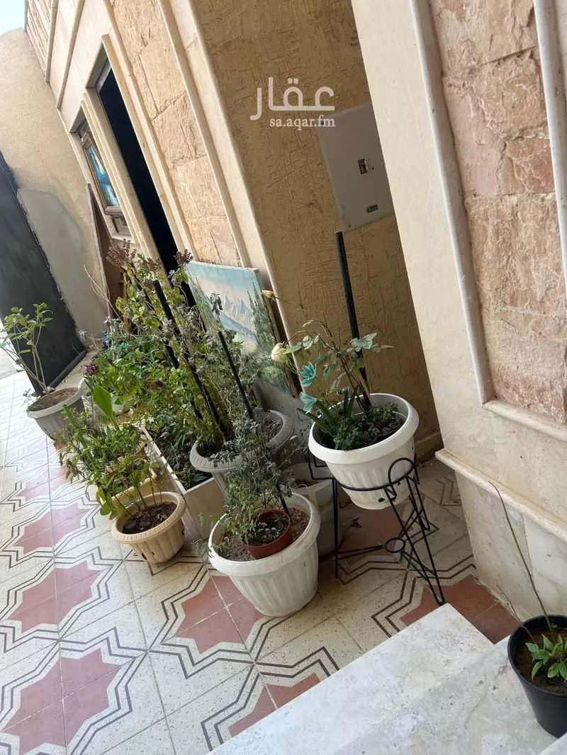 دور 1 غرف في ظهرة لبن 4