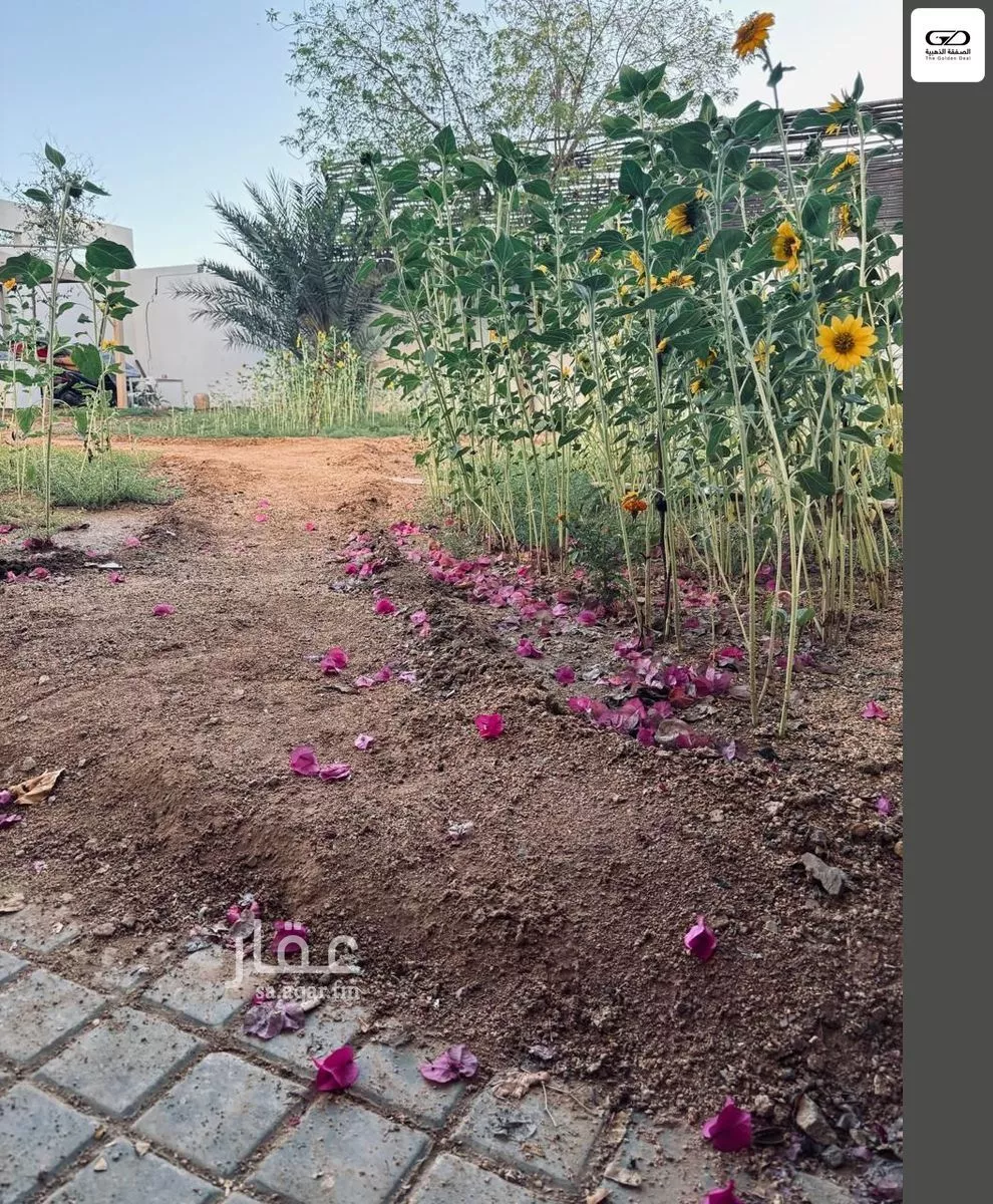 2 bedroom villa in Al Asalah, Jeddah 13