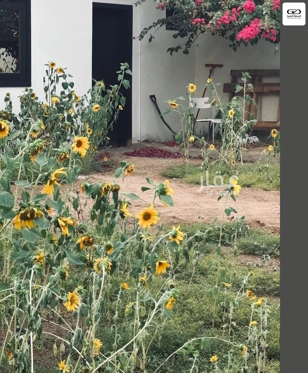 2 bedroom villa in Al Asalah, Jeddah 18