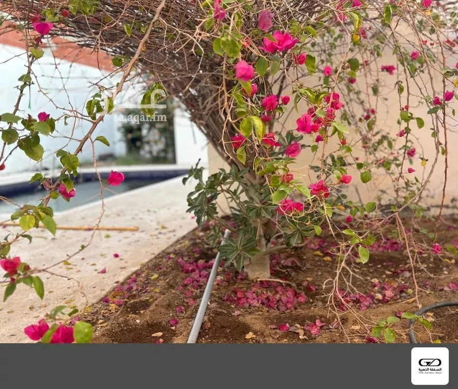 2 bedroom villa in Al Asalah, Jeddah 12