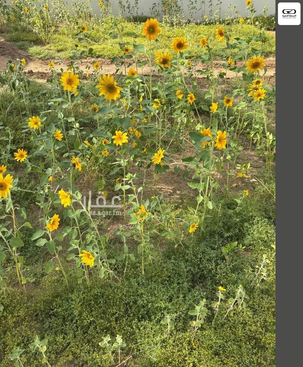 2 bedroom villa in Al Asalah, Jeddah 16