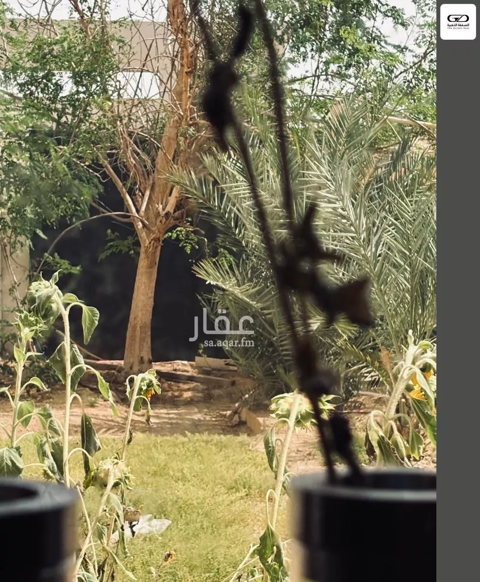 2 bedroom villa in Al Asalah, Jeddah 21