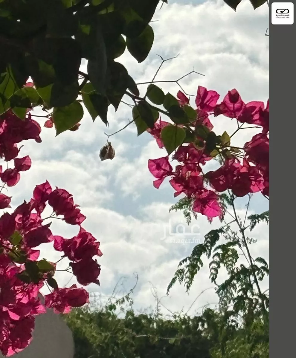 2 bedroom villa in Al Asalah, Jeddah 7