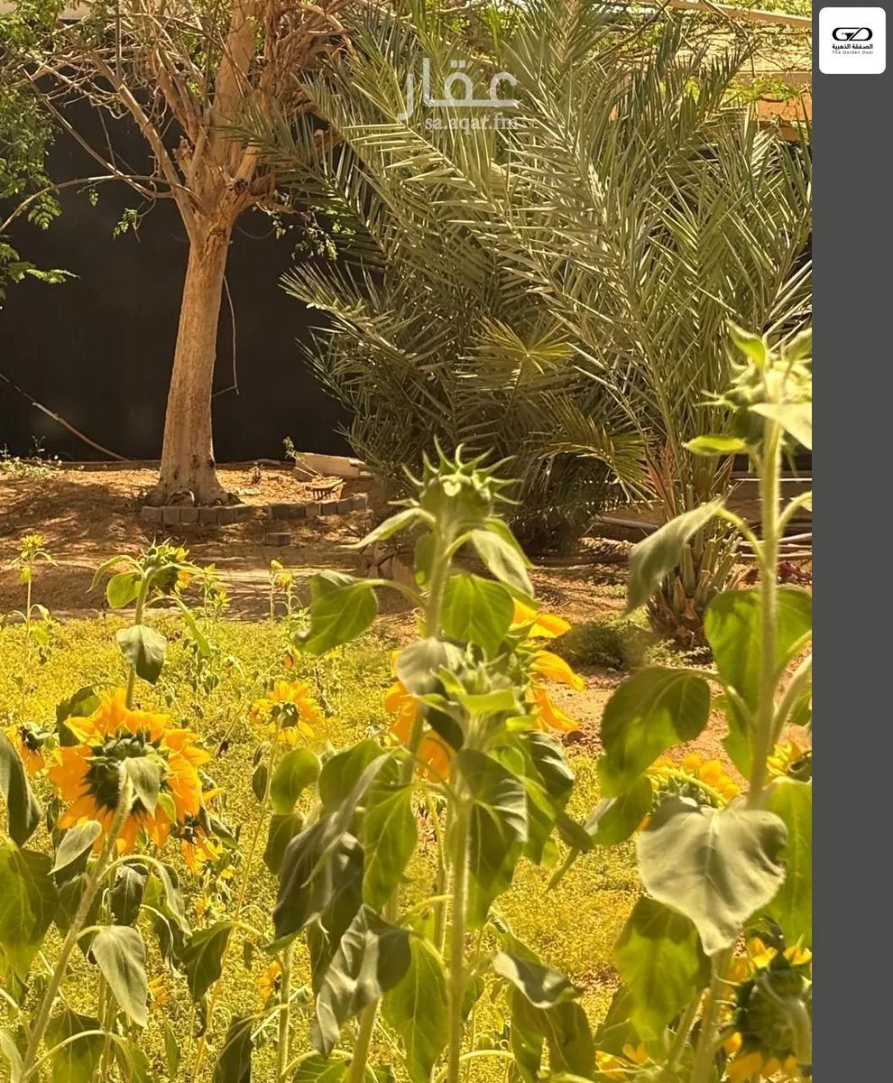 2 bedroom villa in Al Asalah, Jeddah 17