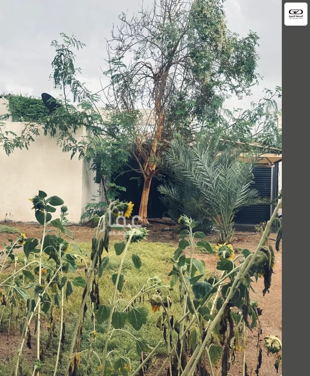 2 bedroom villa in Al Asalah, Jeddah 19