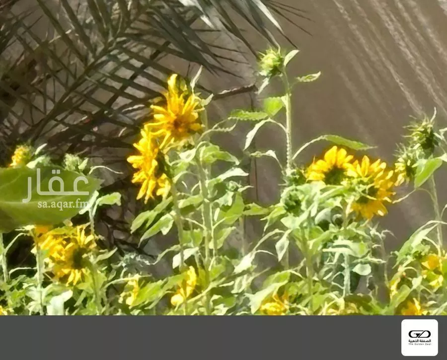 2 bedroom villa in Al Asalah, Jeddah 23