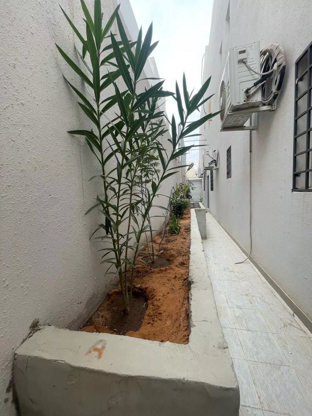 5 bedroom floor in Badr 3