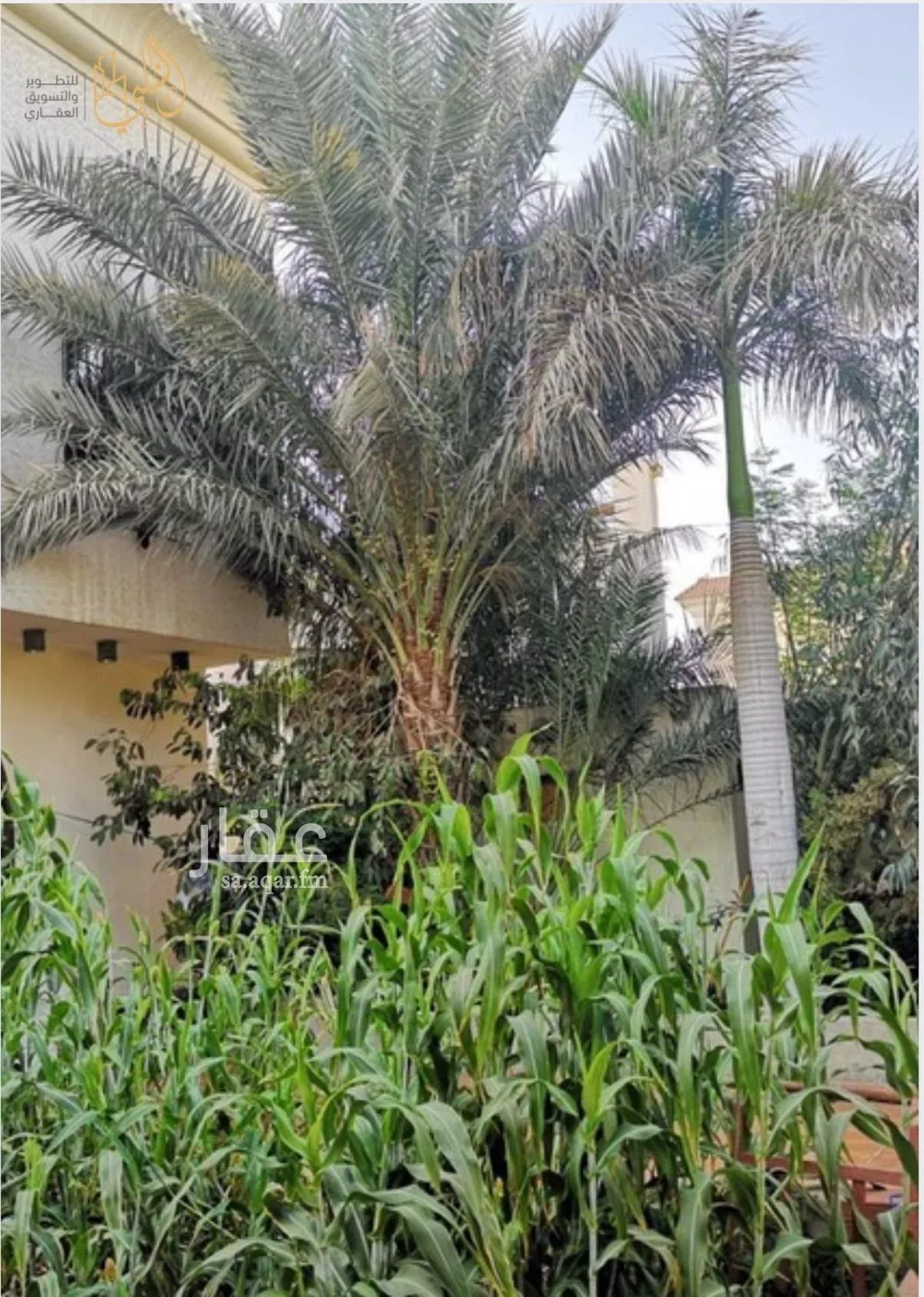 10 bedroom villa in Al Nahda, Jeddah 7