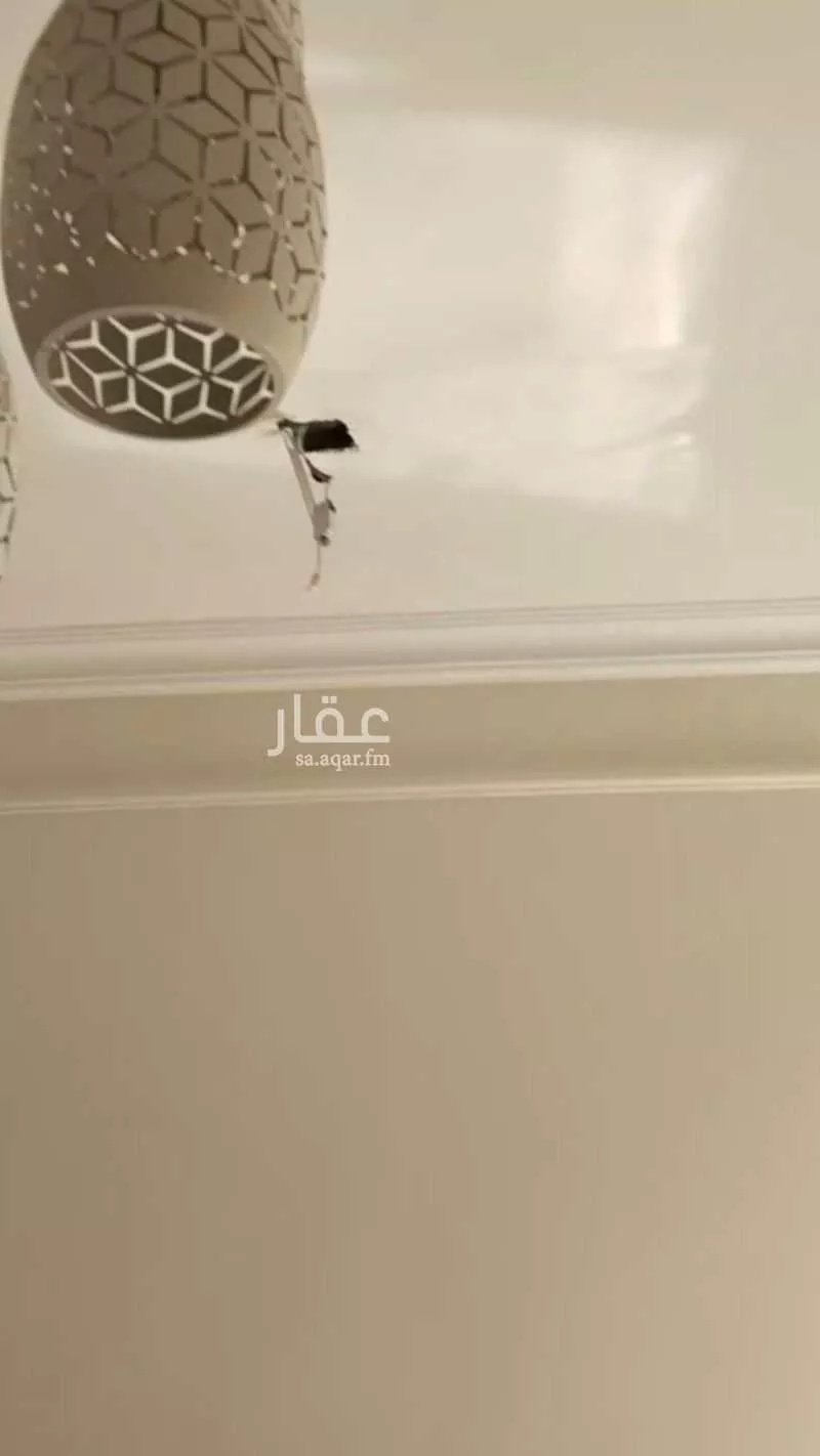 شقة 1 غرف في الجوهرة 2