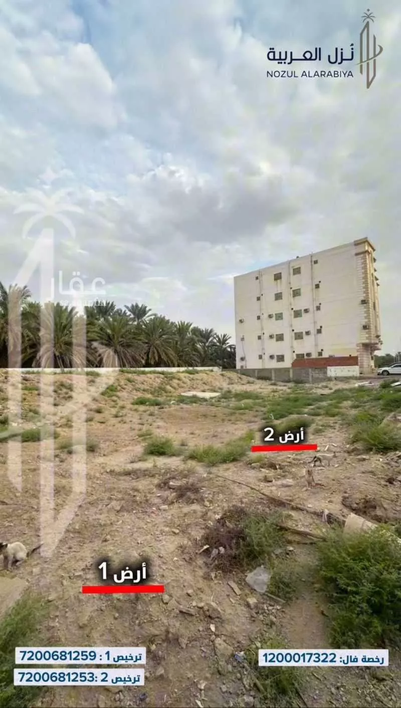land in Al Jumah, Madinah 7