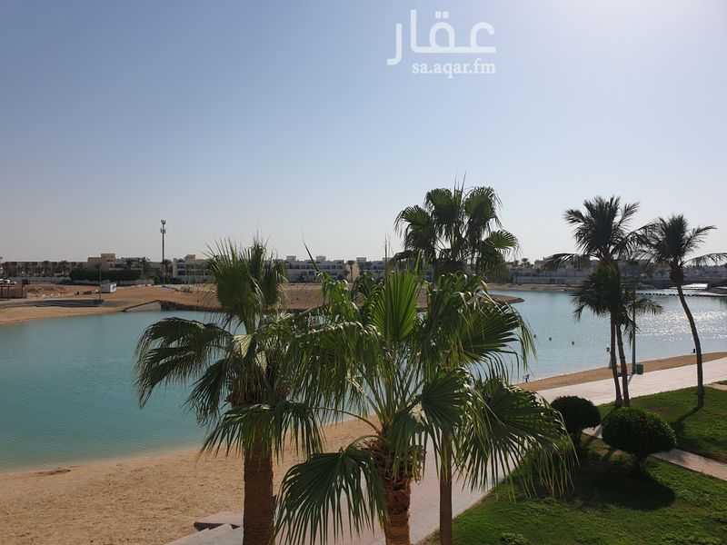 4 bedroom apartment in Durrat Al Arus, Jeddah 4